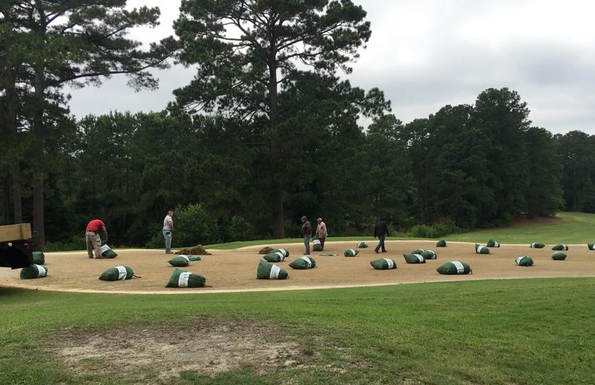 Cypress Lakes celebrates 50 years with new greens